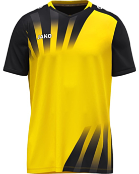 gelb/schwarz-Front