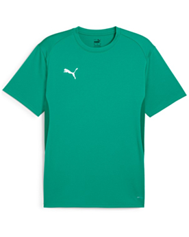 PUMA teamGOAL Jersey bedrucken Sport Green/PUMA White